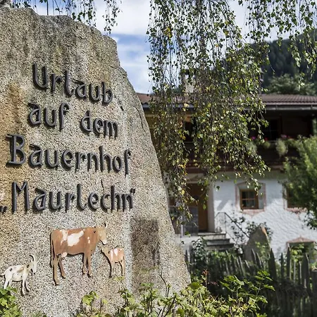 Chalet Maurlechnhof *